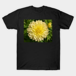 Bright Yellow Dahlia Flower Closeup T-Shirt